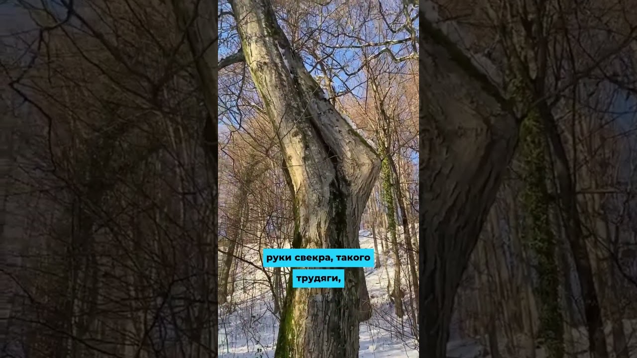 Подвійний тариф для родини