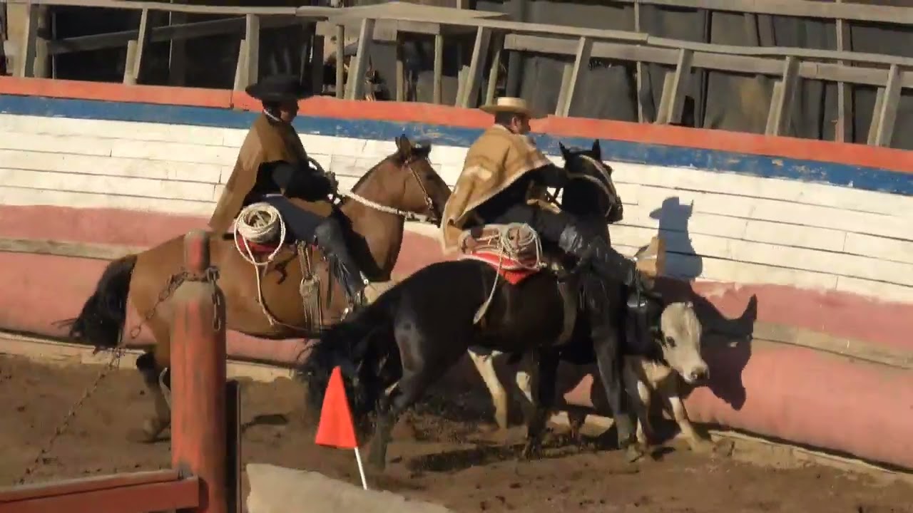 3RA SERIE RODEO ASOCIACIÓN ENTRE COSTA Y VALLES 2DA PARTE