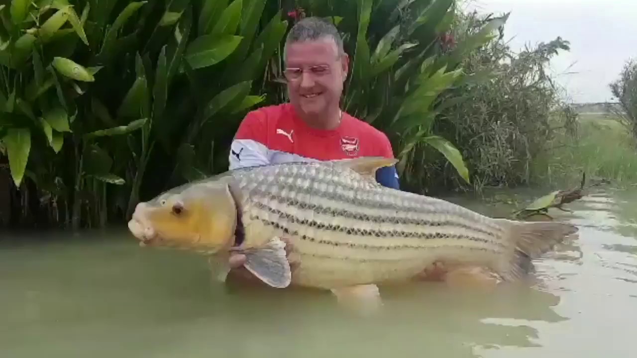 Fishing In Thailand - Julien's Golden Price Carp @ Leks Lake Udon Thani