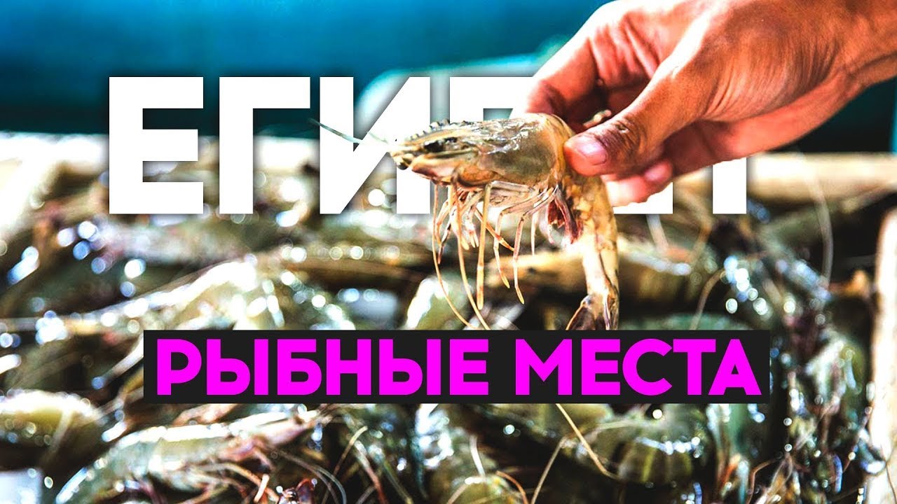 ХУРГАДА. ОГОЛОДАЛИ НА 