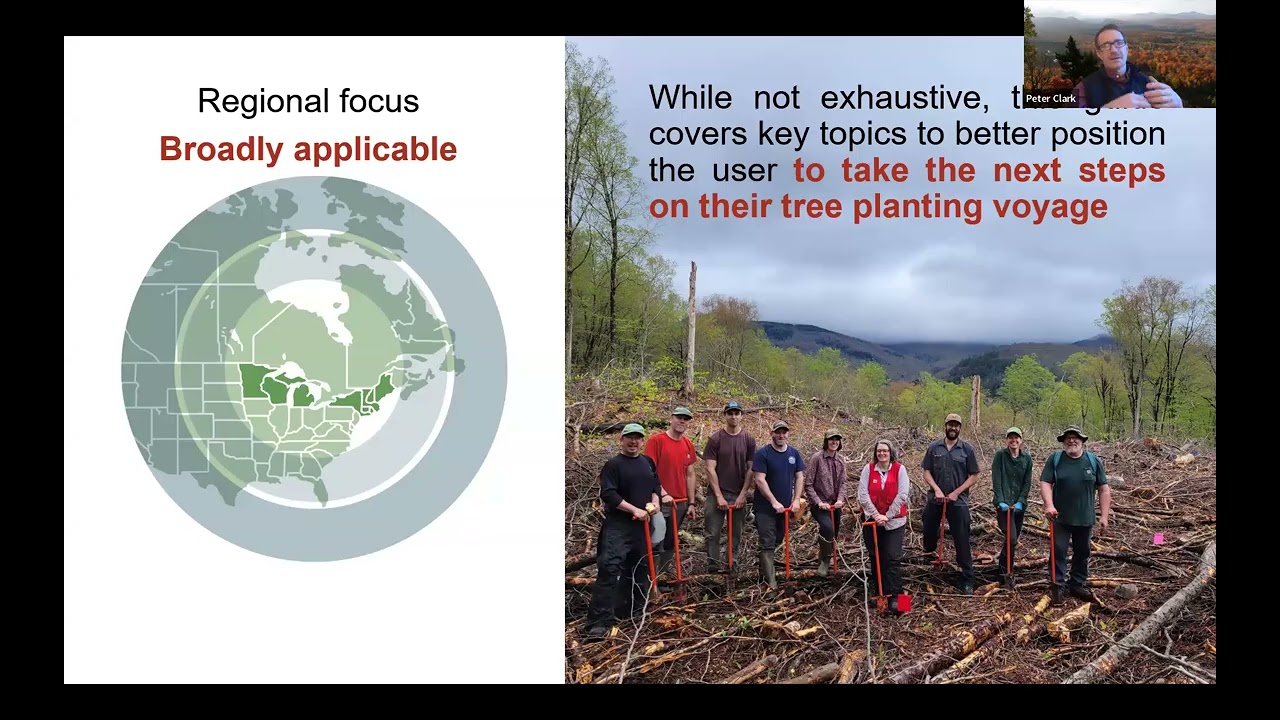Tree Planting Best Practices in the Northeast Webinar