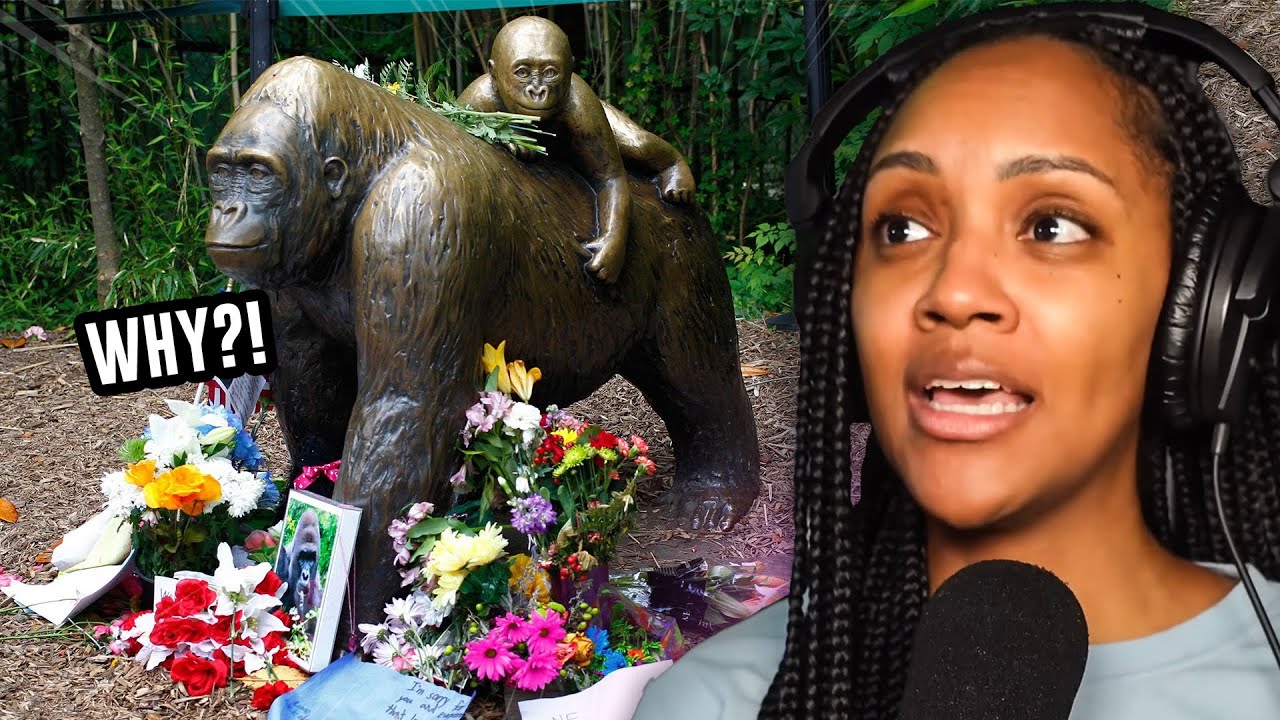 R.I.P. | CASUAL GEOGRAPHIC | Why Harambe's Death was the Right Choice 4 the Wrong Reasons | REACTION