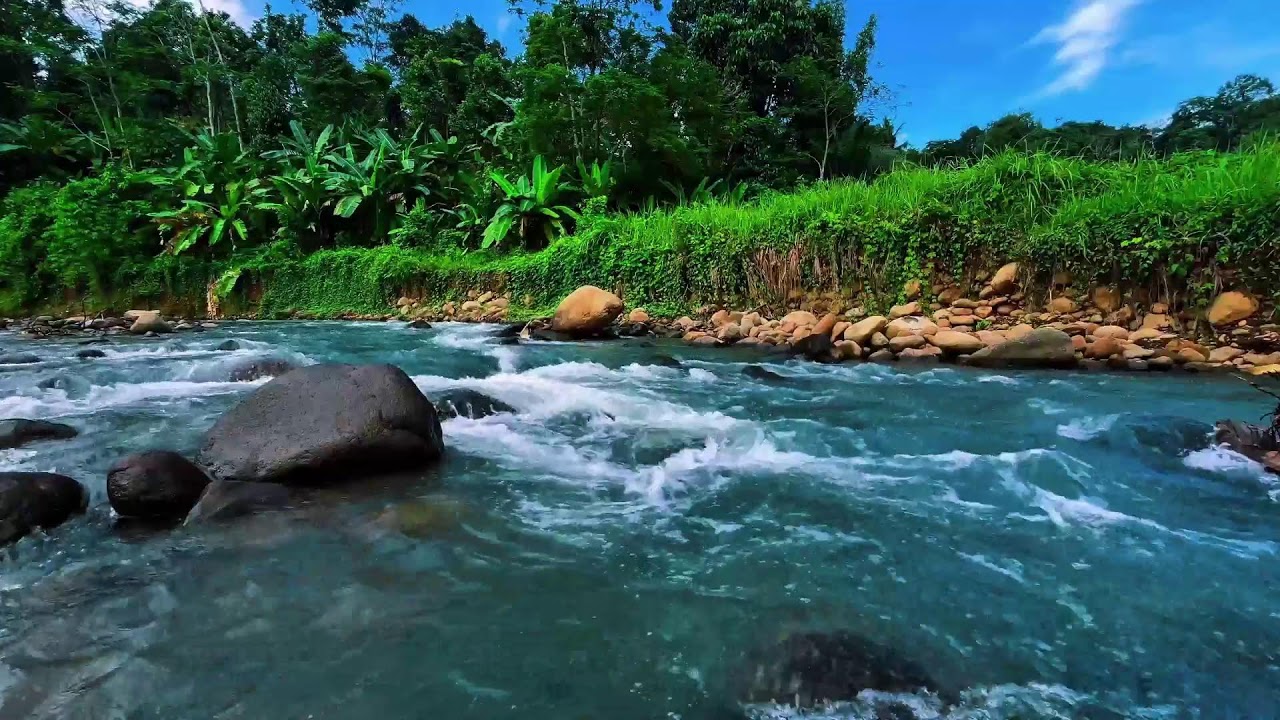 Serene River Sounds for Deep Sleep 🌙 Relaxing Flowing Water for Study & Meditation