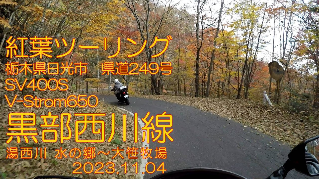 【モトブログ】紅葉ツーリング「黒部西川線」県道249号 栃木県日光市 湯西川～大笹牧場 2023.11.04 sv400s  v-strom650