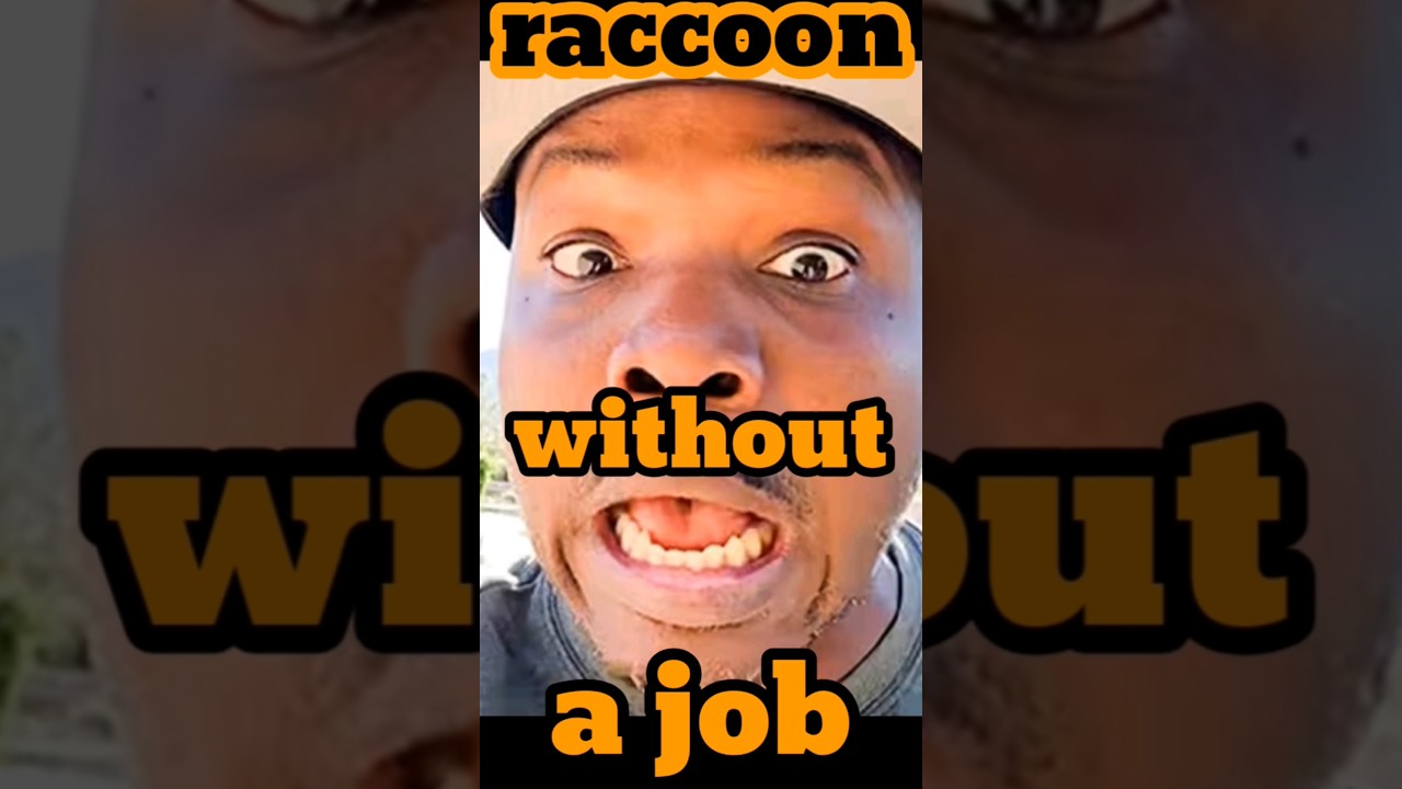 Timothy Bradley the raccoon without a job, gets checked by Bill Haney