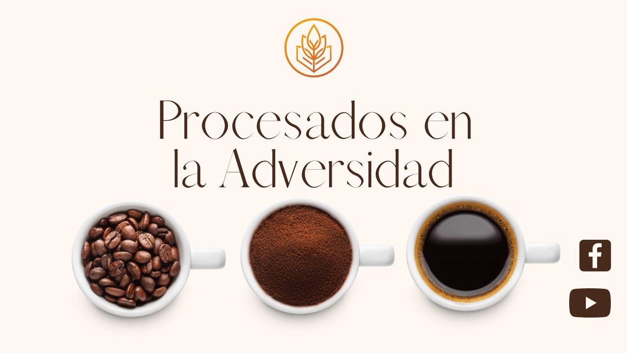 Procesados en la Adversidad - Semilla de Vida