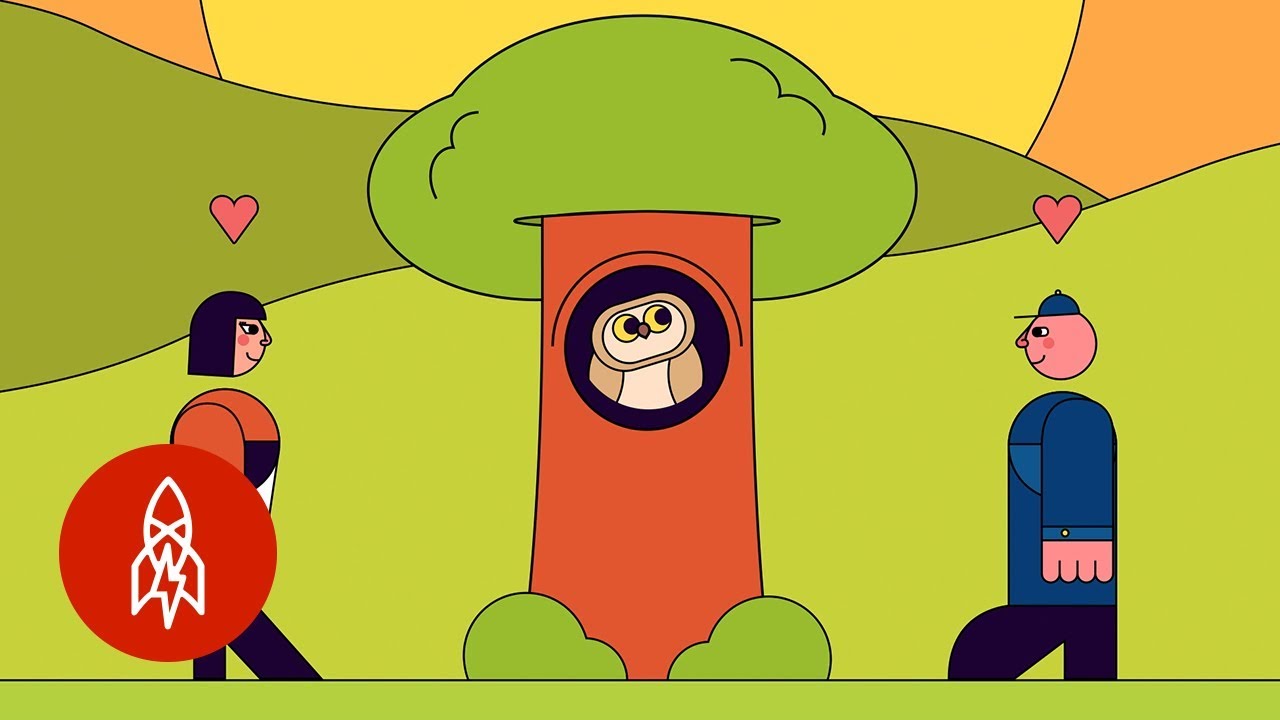 This Tree in Germany Could Bring You Love