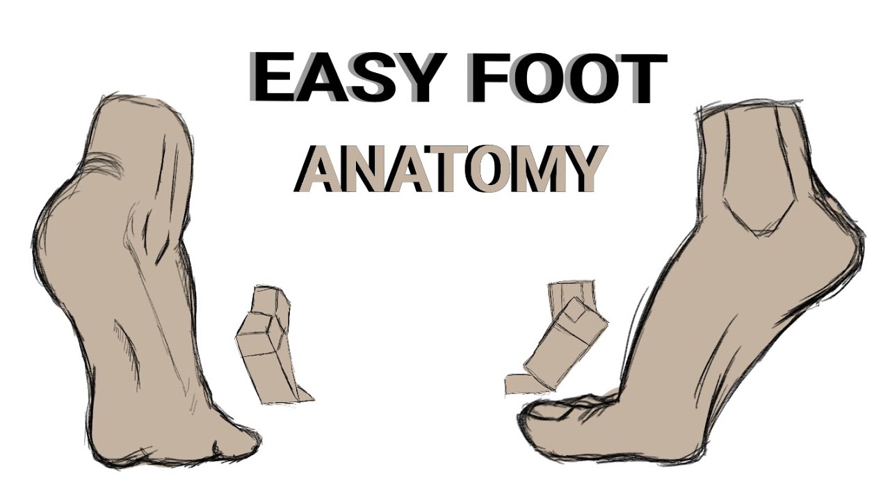 Easy Foot Anatomy Drawing For Beginners  || Easy to Draw