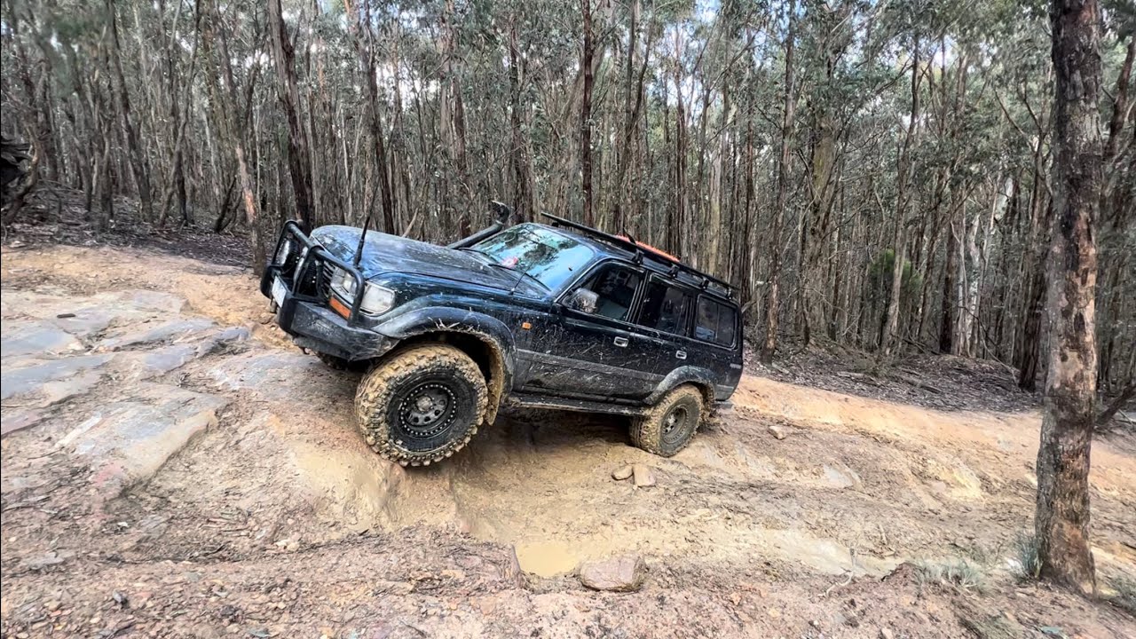 Wombat State Forest diggers track, distillery track, mill track and much more￼￼￼