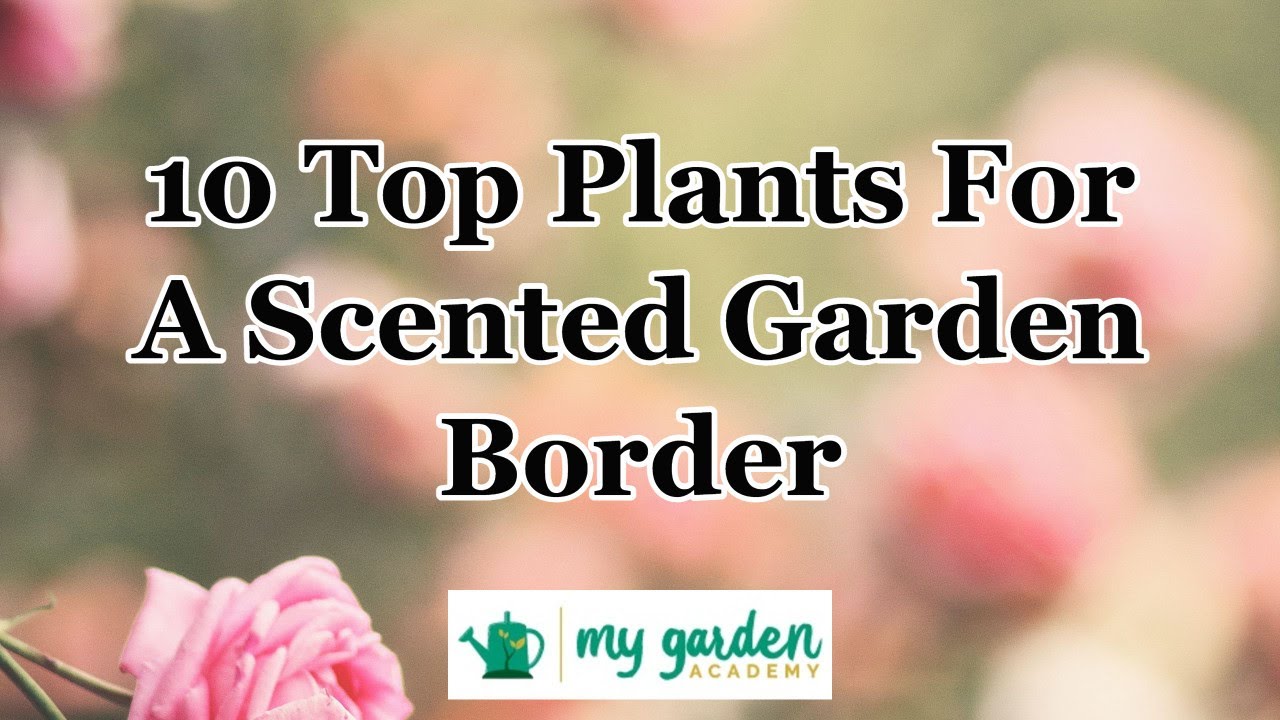 10 Top Plants For A Scented Garden Border