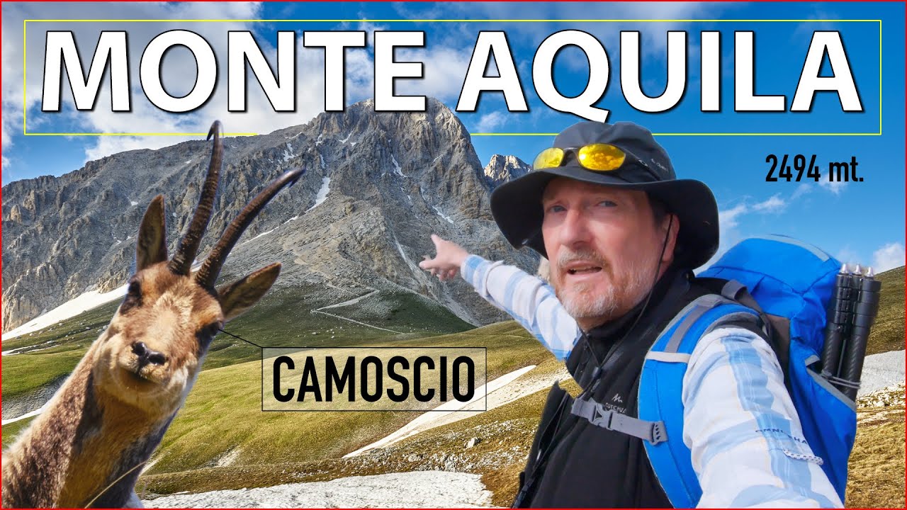 GRAN SASSO: incontro un camoscio durante un escursione al tramonto sul Monte Aquila a 2494 metri