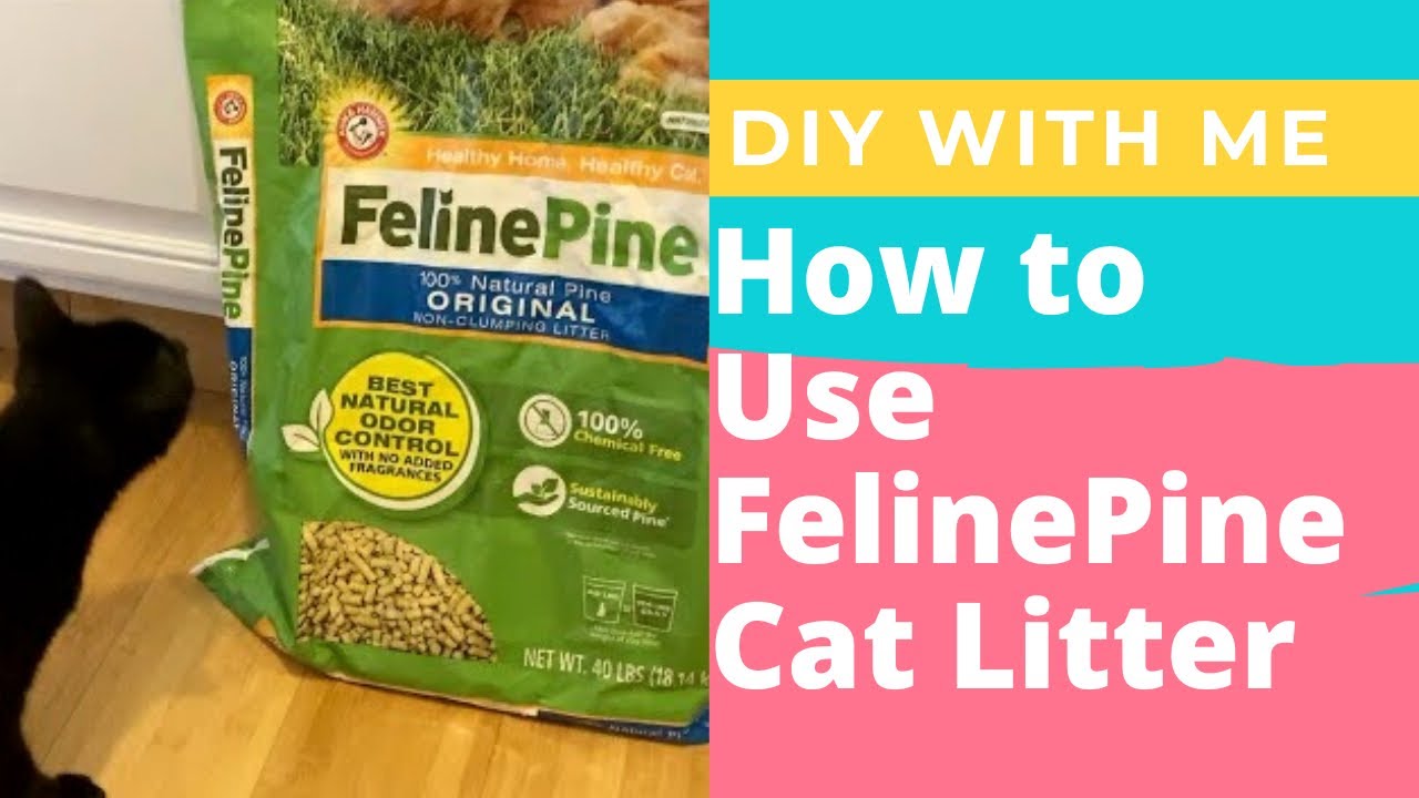 How to Use Feline Pine Wood Pellet Cat Litter
