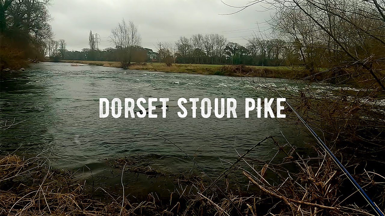 Big Pike On A Fly | Fly Fishing For Pike | Dorset Stour