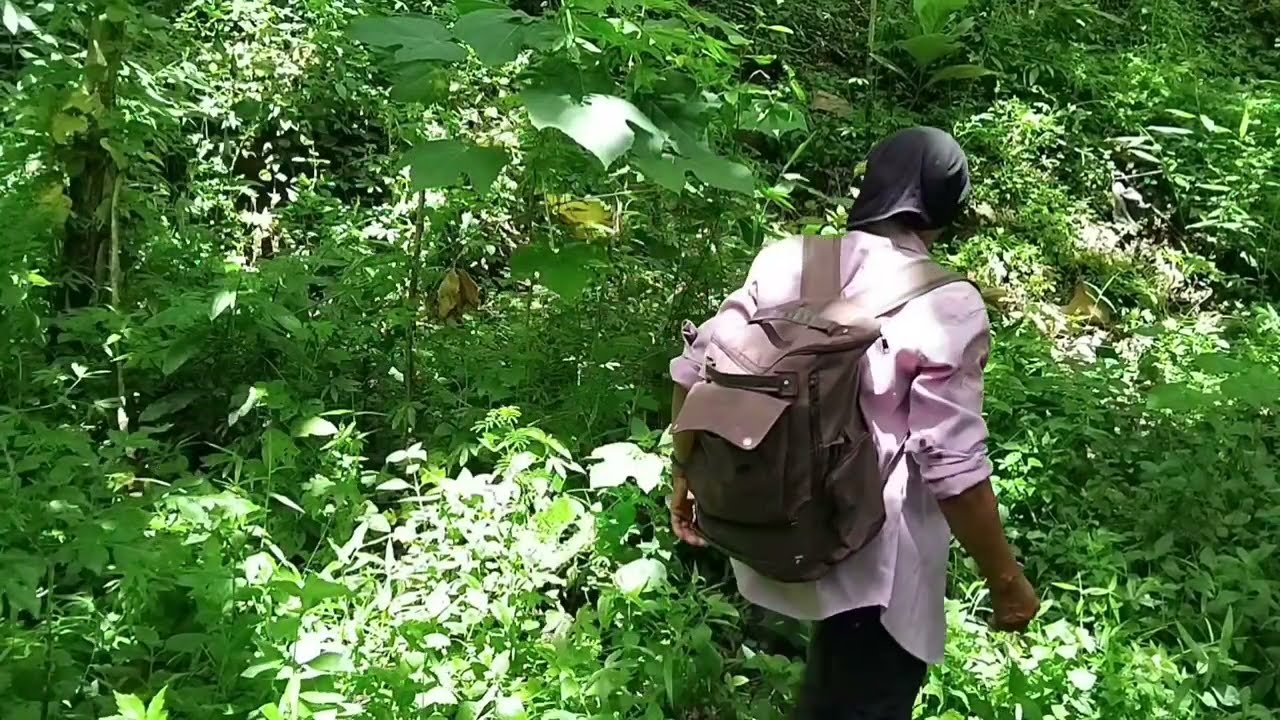 Solo cemping makes your mind fresh and gets rid of bored thoughts  