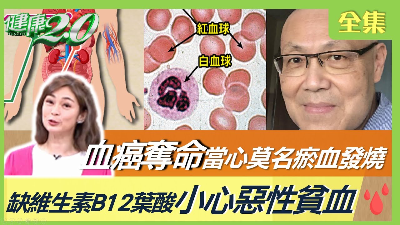 劉忠繼不明原因發燒 確診血癌病逝！8症狀心悸易喘注意！缺維生素B12葉酸恐釀惡性貧血！健康2.0 20230408【完整版】鄭凱云 吳鴻誠 王健宇 梁惠雯 宋明樺 雷議宗 @tvbshealth20