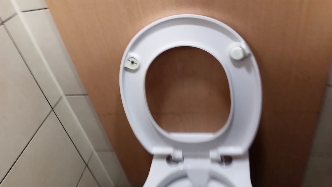 Toilet in McDonald's Bognor Regis