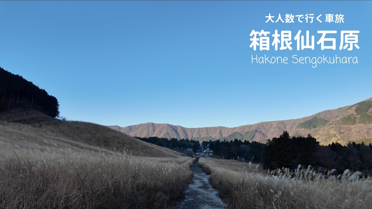 【箱根仙石原】３家族大人数で行く車旅 / 幻想的なすすき草原 / 冬の富士山  /