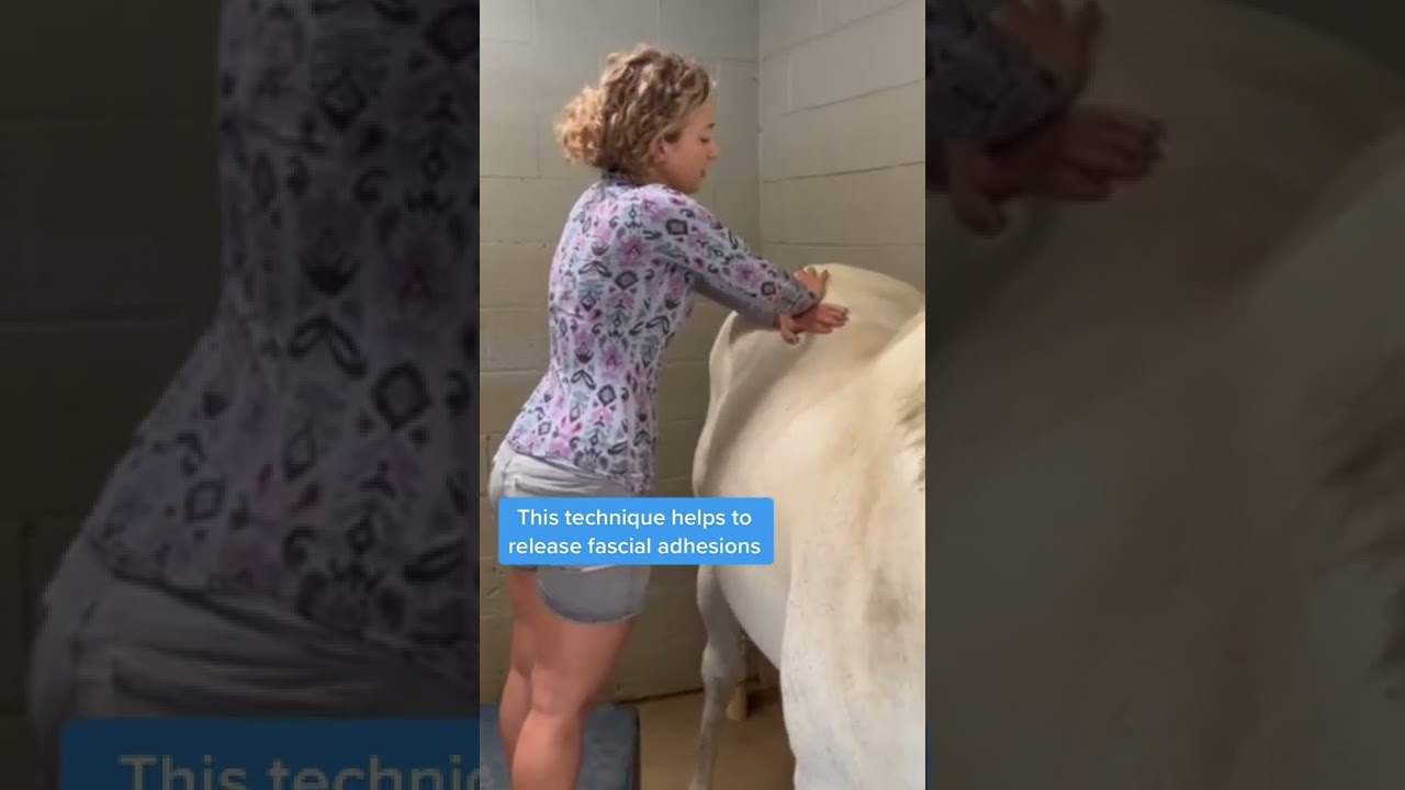 Top Tier Massage Technique for Horses with Lower Back Pain