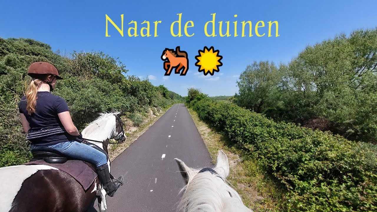 Ritje naar de duinen 🐎☀️