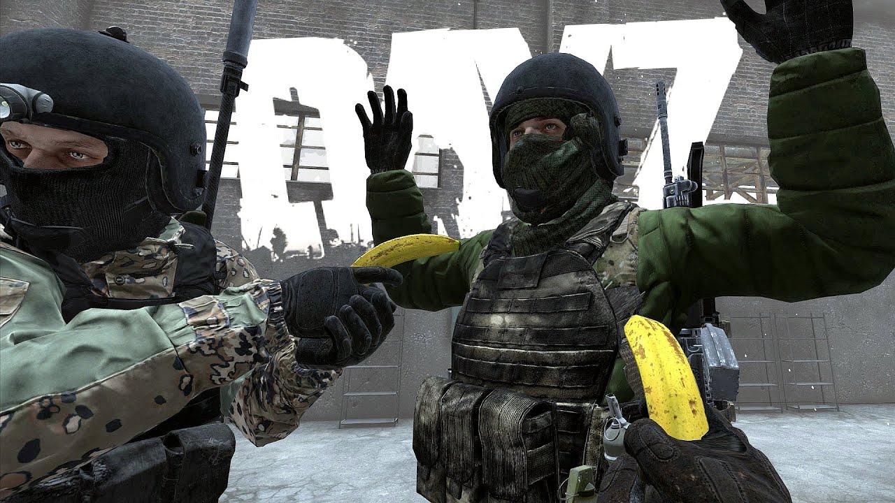 MEMORABLE MOMENTS #133 ( DAYZ )