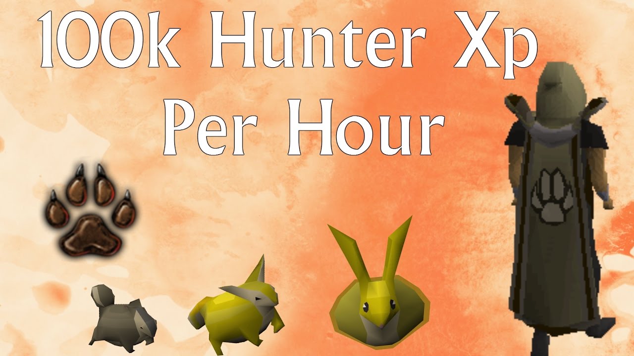 Hunter Guide - 100k+ Xp Per Hour [Black Salamanders]