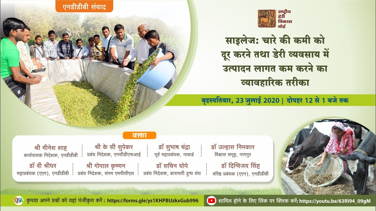 NDDB Samvad: Silage making - Tackle fodder deficit and optimize production costs in dairying (Hindi)
