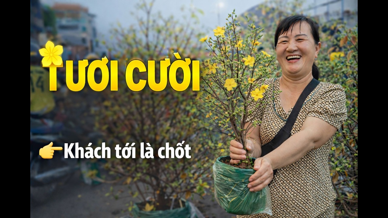 Chị chủ vui vẻ, mai cây to búp kín cành – khách chốt lia lịa tại Chợ hoa Bến Bình Đông
