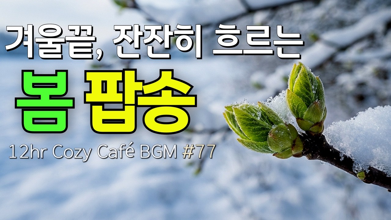 После зимы расцветают почки ❄️ 12ч Cozy Cafe & Store BGM [77] Спокойная поп-музыка