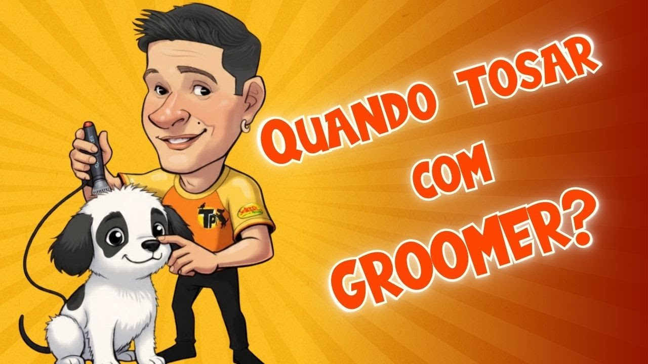 TOSA DE POODLE: O Segredo do GROOMER - Saúde e Segurança (Patas, Focinho e Ouvido) | Guia de Raças
