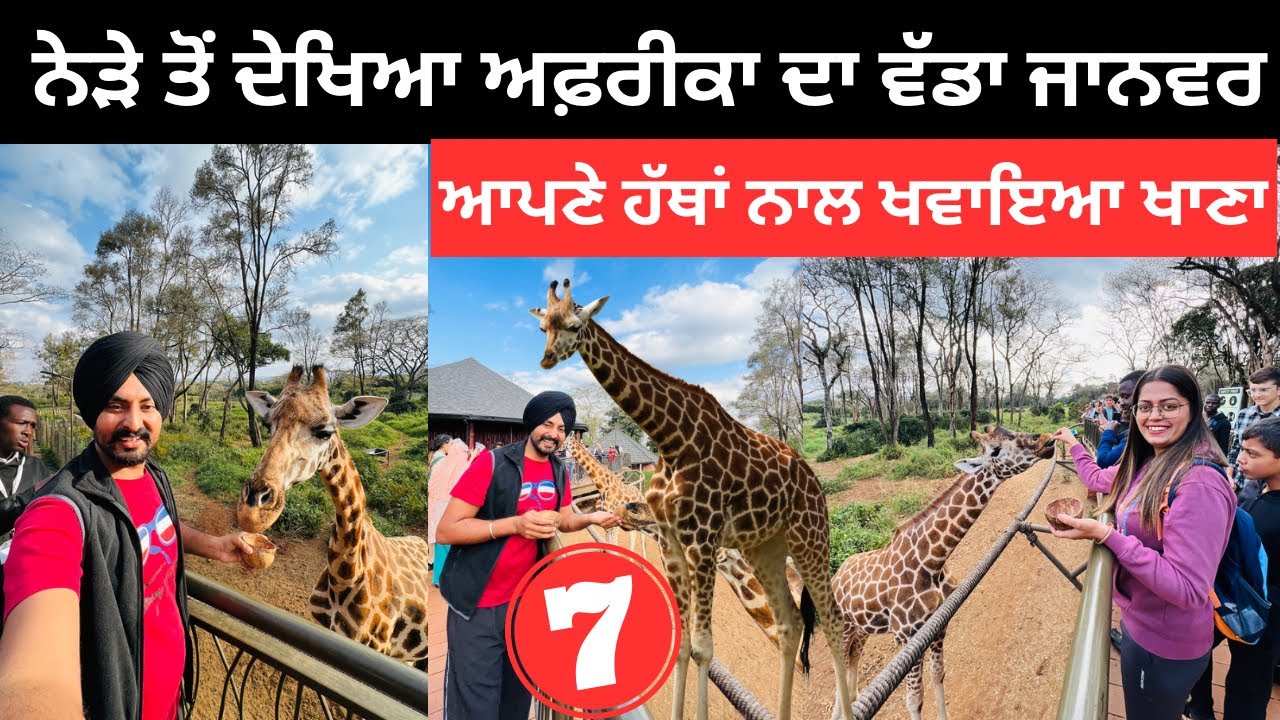 ਨੇੜੇ ਤੋਂ ਦੇਖਿਆ ਅਫ਼ਰੀਕਾ ਦਾ ਵੱਡਾ ਜਾਨਵਰ Giraffe Center Nairobi | Punjabi Travel Couple | Ripan Khushi