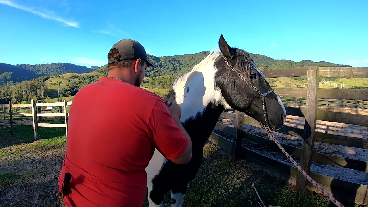VACINA contra garrotilho