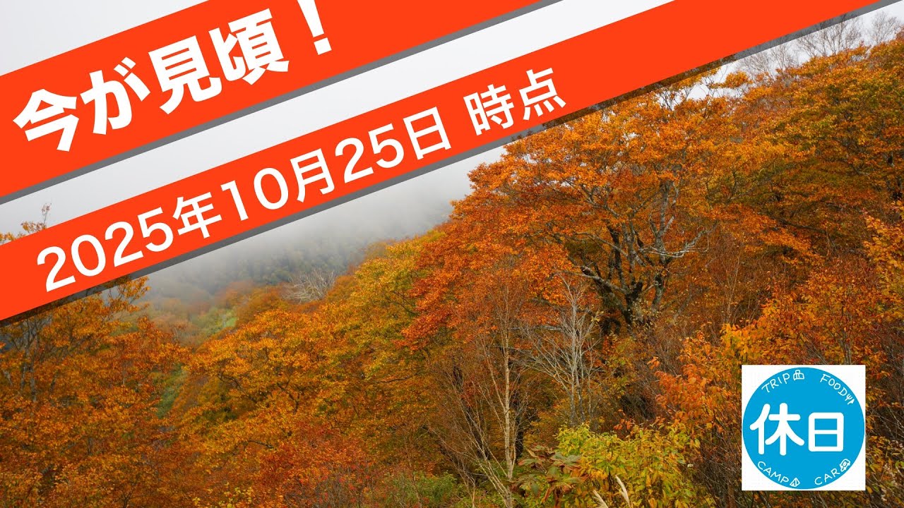 日本最長！苗場ドラゴンドラ！秋の紅葉お見逃しなく！