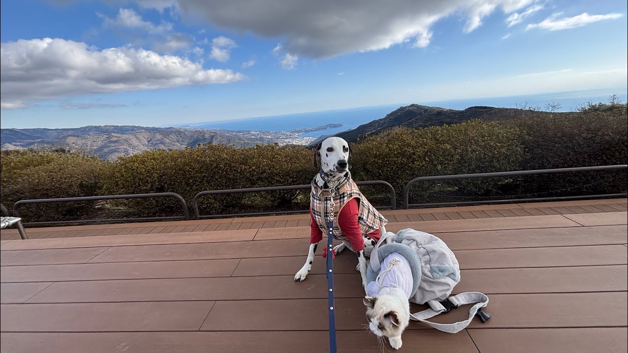 ごまりも伊豆旅行