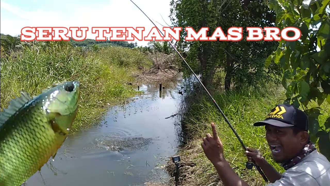 MANCING IKAN PAPUYU SANGAT ASIK DI PARIT KECIL INI || kir Yanto 77