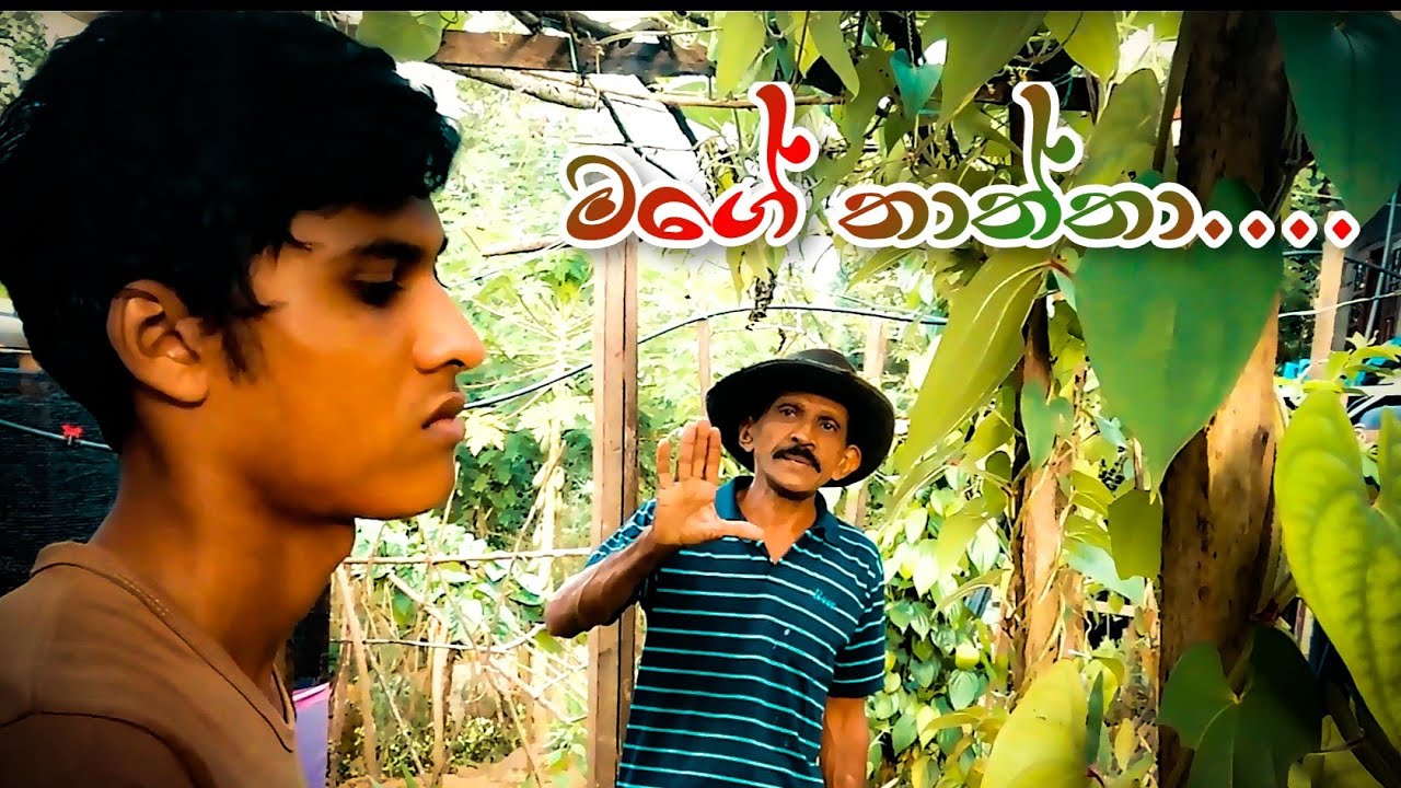 මගේ තාත්තා...... වර්තමාන සමාජයේ අද තත්වය රූප රාමුවකින් Episode 16 @govisadha