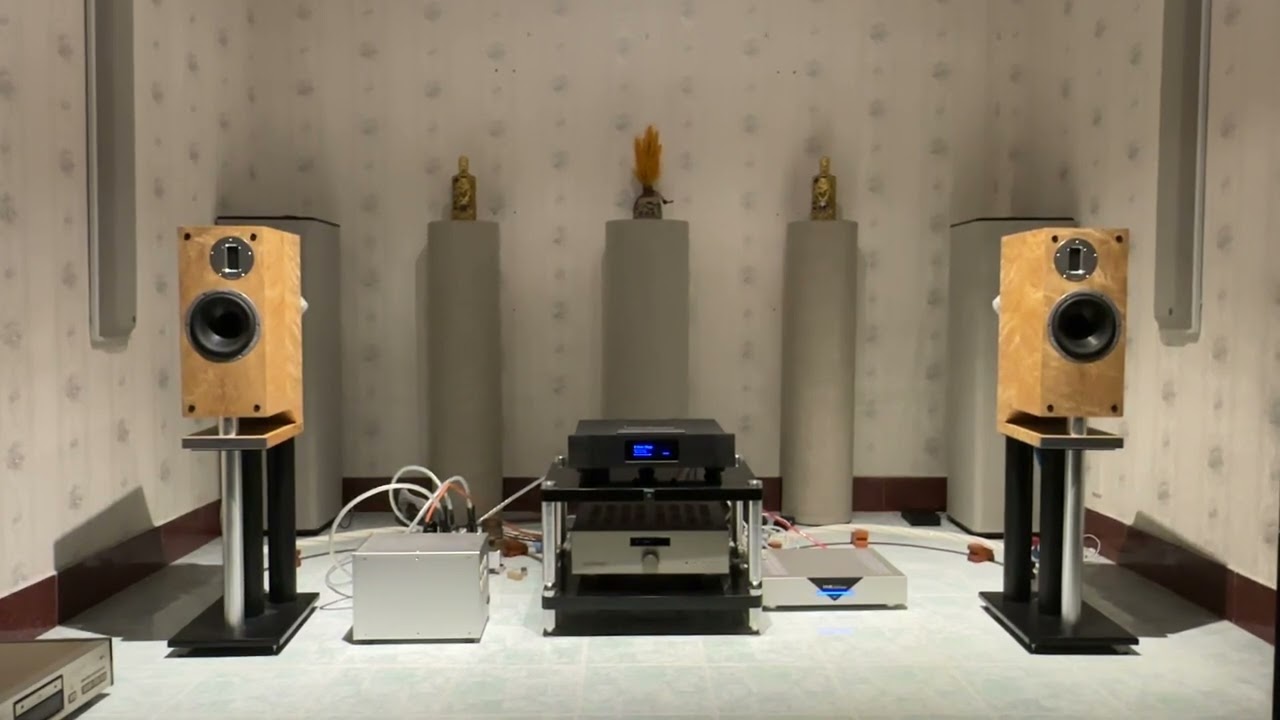 ProAc K1 vs Audionet Watt