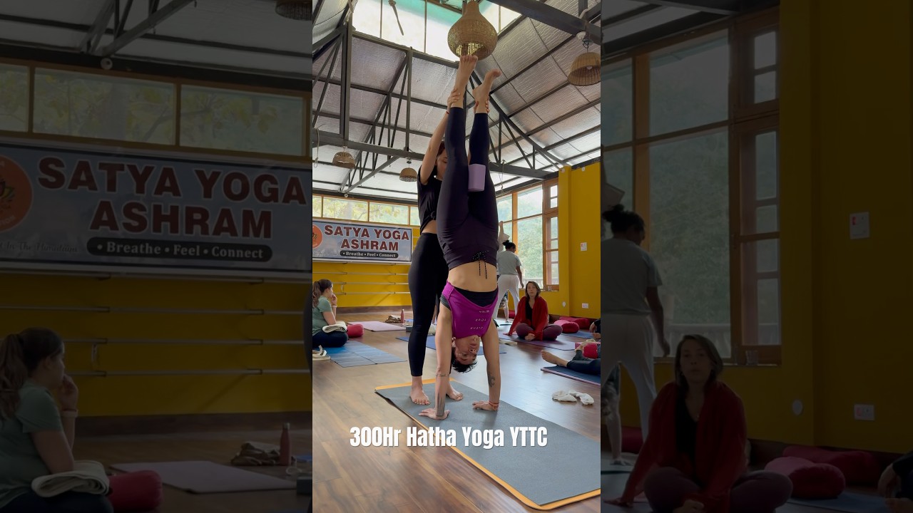 formation de prof de yoga authentique et traditionnelle de 300h avanc&eacute;e #yoga #formation #inde