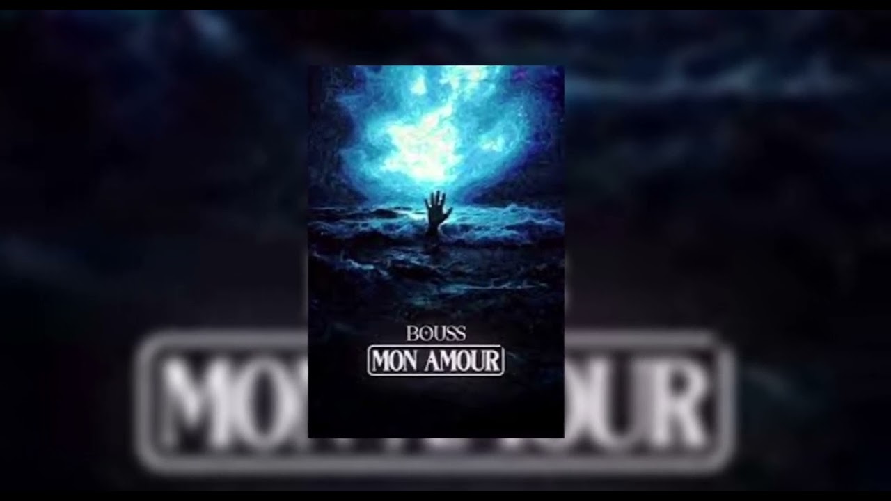 Bouss - Mon amour  ( speed up )