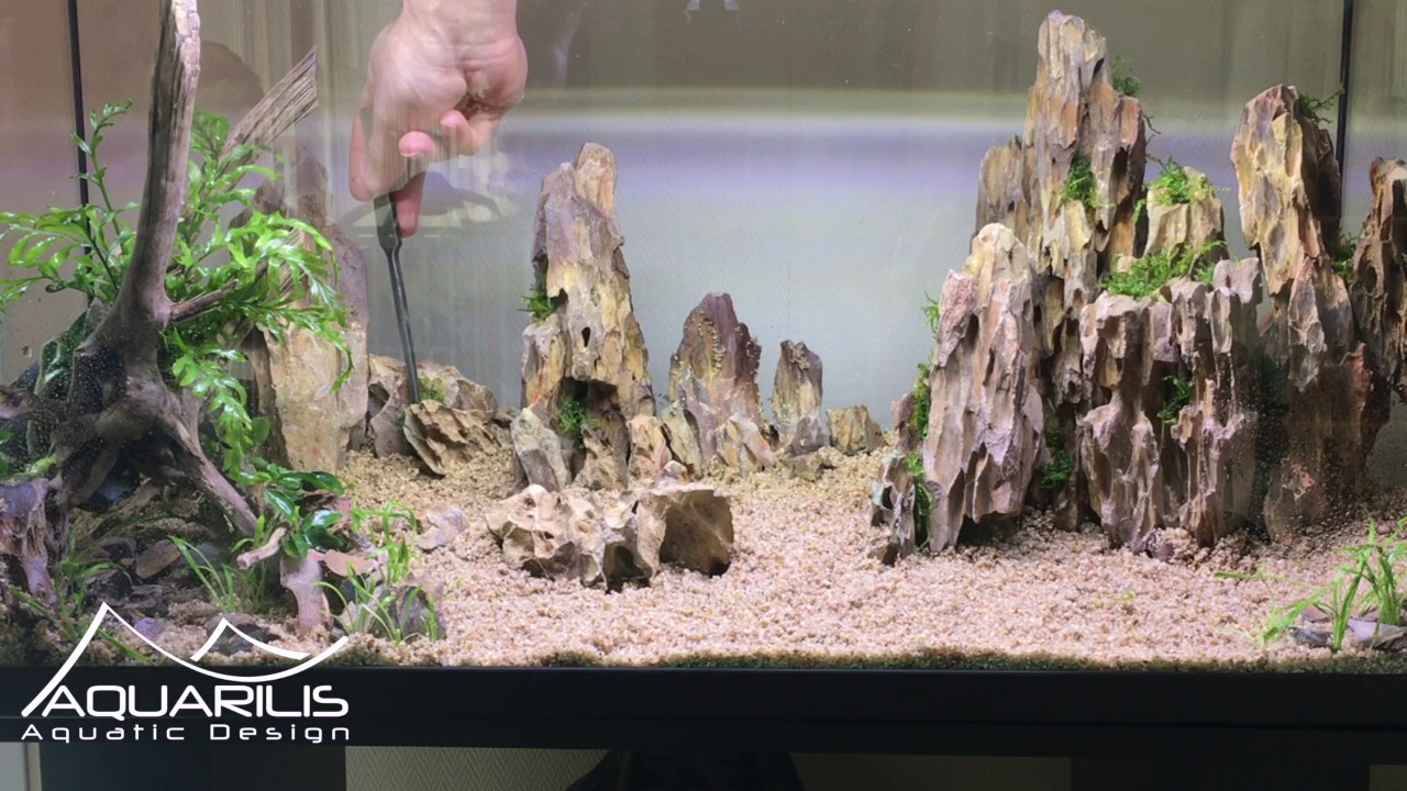 Как сделать аквариум аквариумный: Dragon Scape