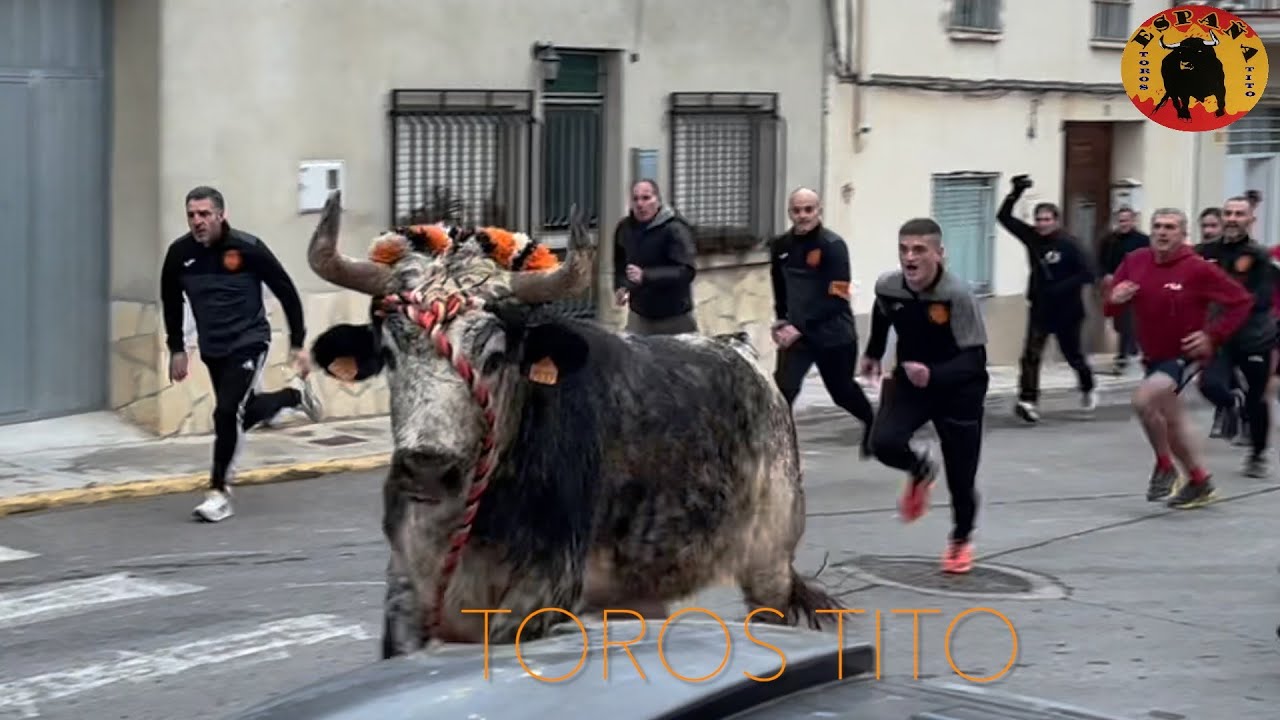 Yatova toros en cuerda Hnos Cali 20 enero 2024  HD 1080p