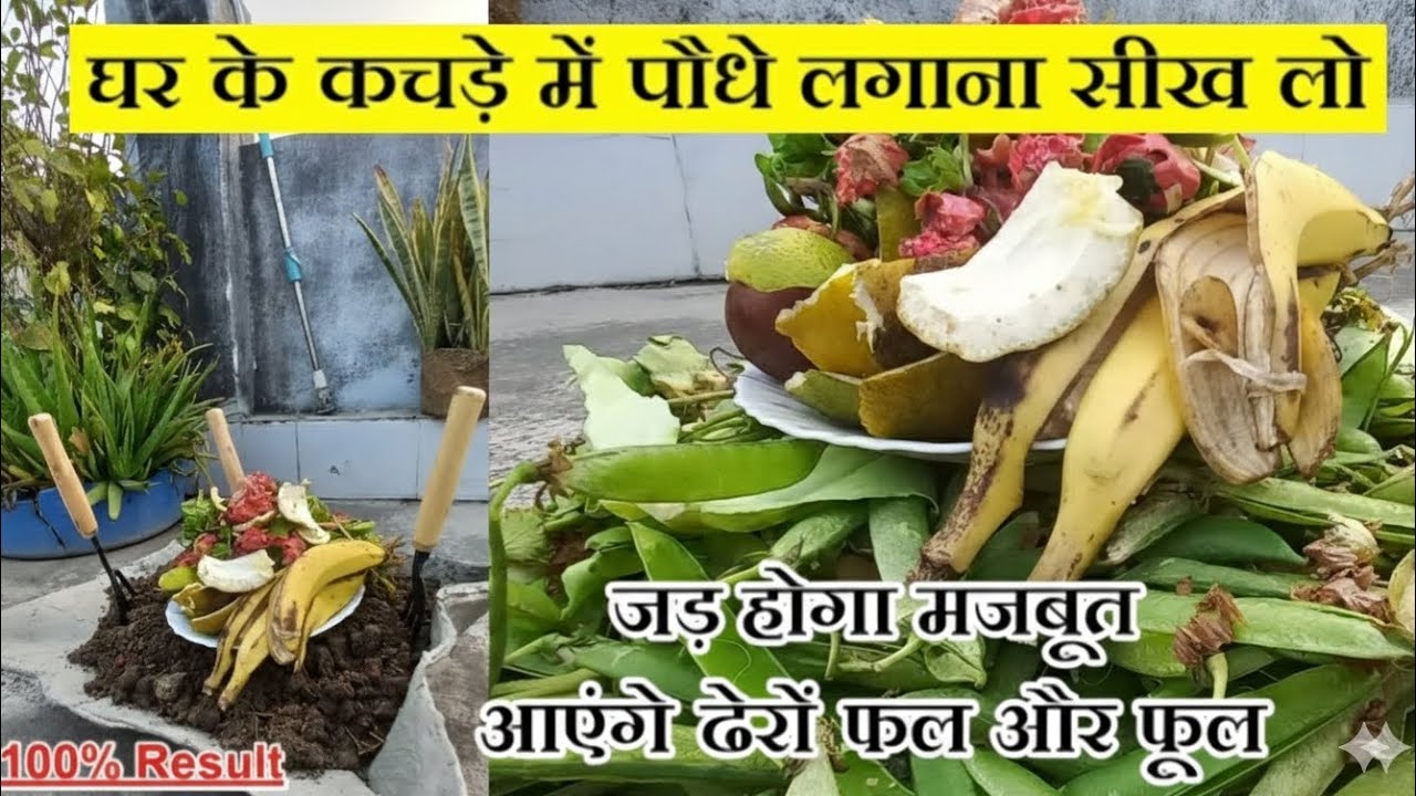 घर के कचड़े से लगाए पौधा गमला भर जाएगा फूल और फल से | इस तराह लगाए पौधा 2  महीना नहीं डालना होगा खाद