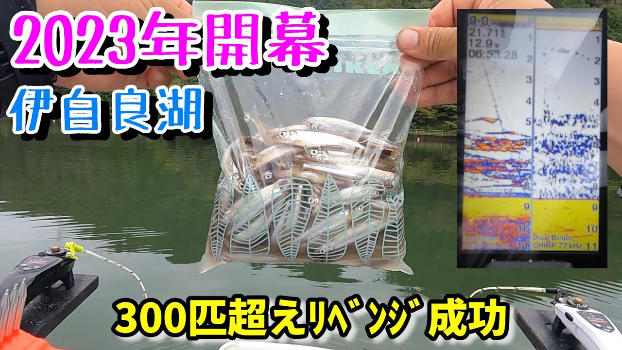 2023年伊自良湖ワカサギ開幕！リベンジマッチ