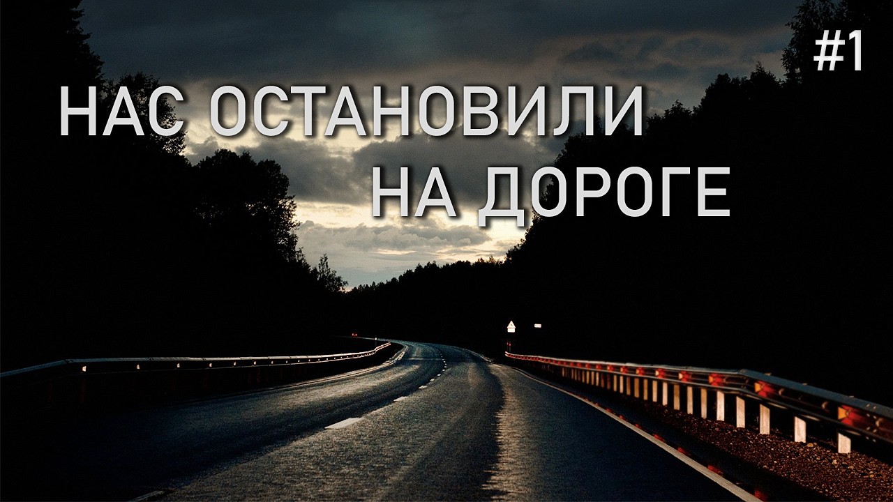 ПЕРЕШЕЛ ГРАНИЦУ: НАС ОСТАНОВИЛИ НА ДОРОГЕ | История побега — Часть 1