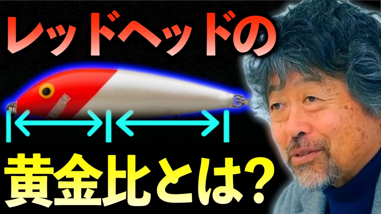 レッドヘッドについて【加藤誠司】