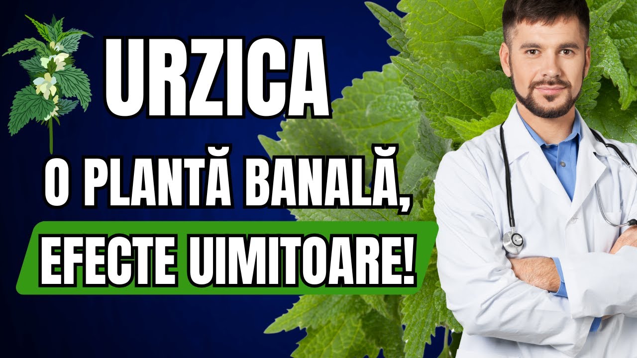 Urzica &ndash; Beneficii Uimitoare pentru Sănătate 🌿 | Superalimentul Primăverii