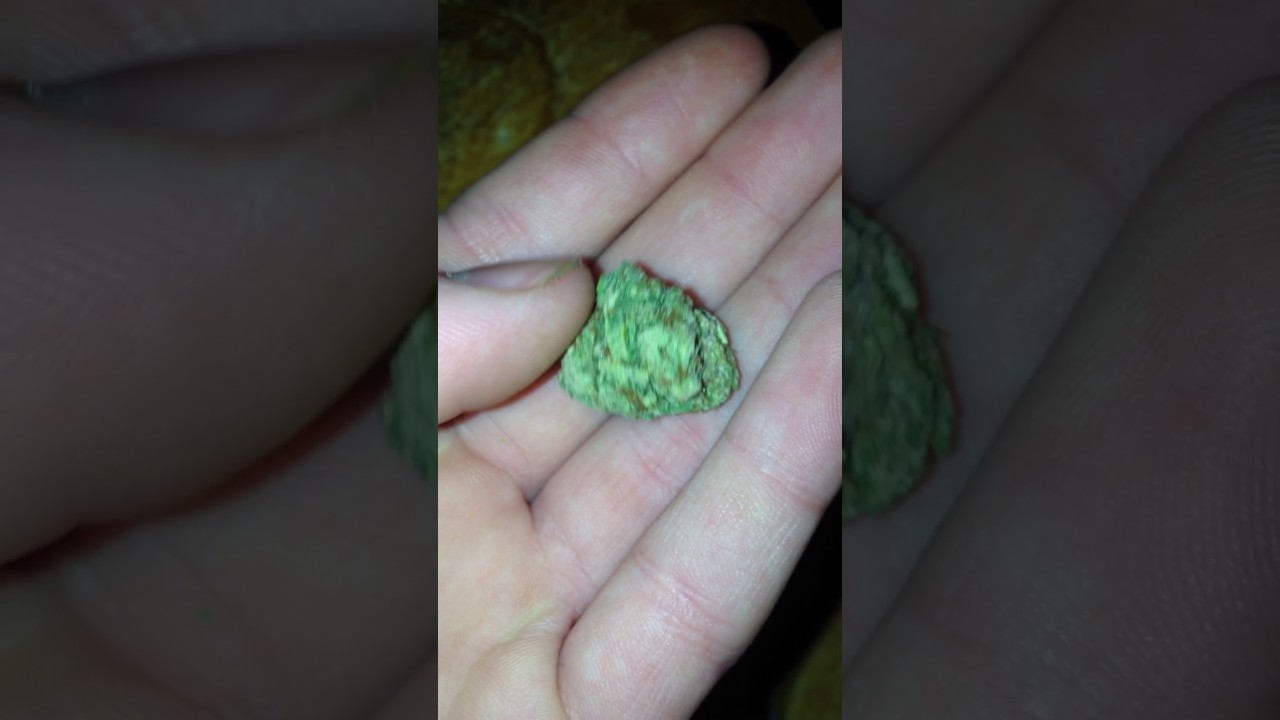 Bc god bud up close
