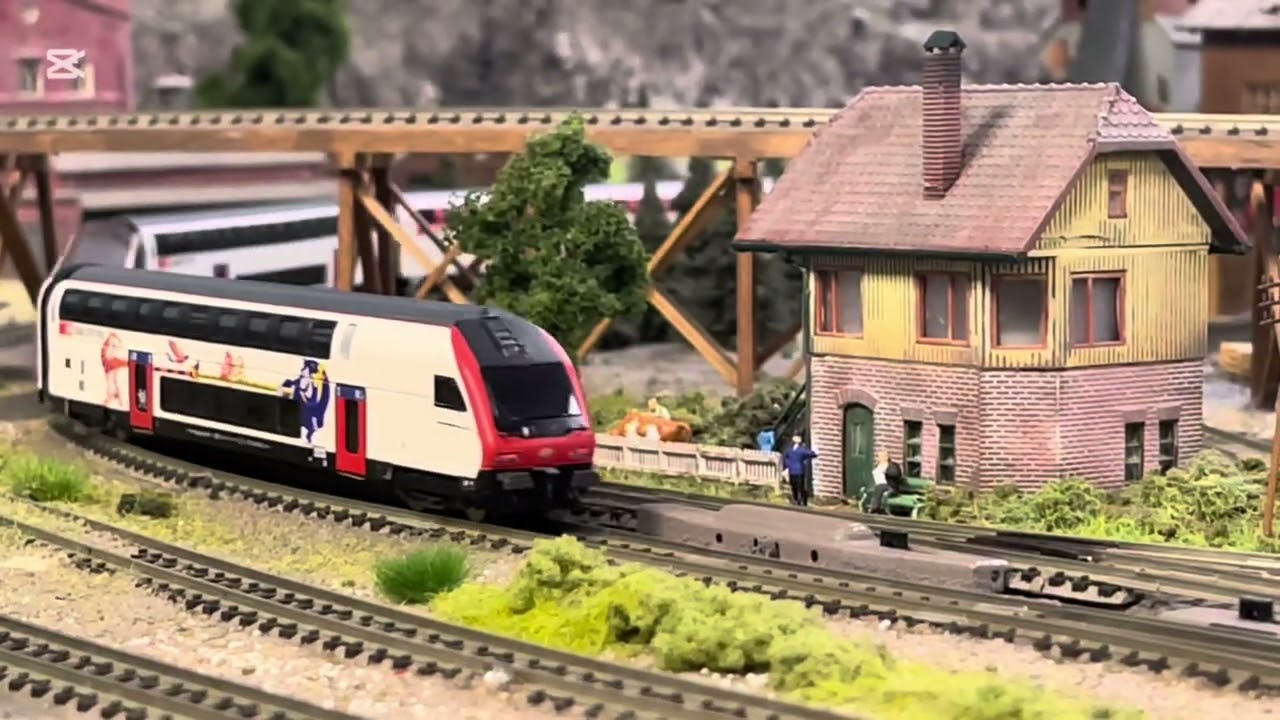Maqueta AAFM - Re 460 SBB + IC2020 &Eacute;poca VI