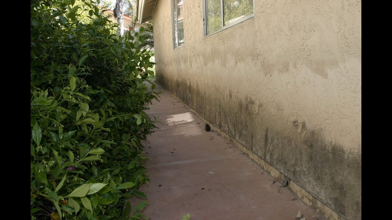 Home Inspection - Exterior Walls