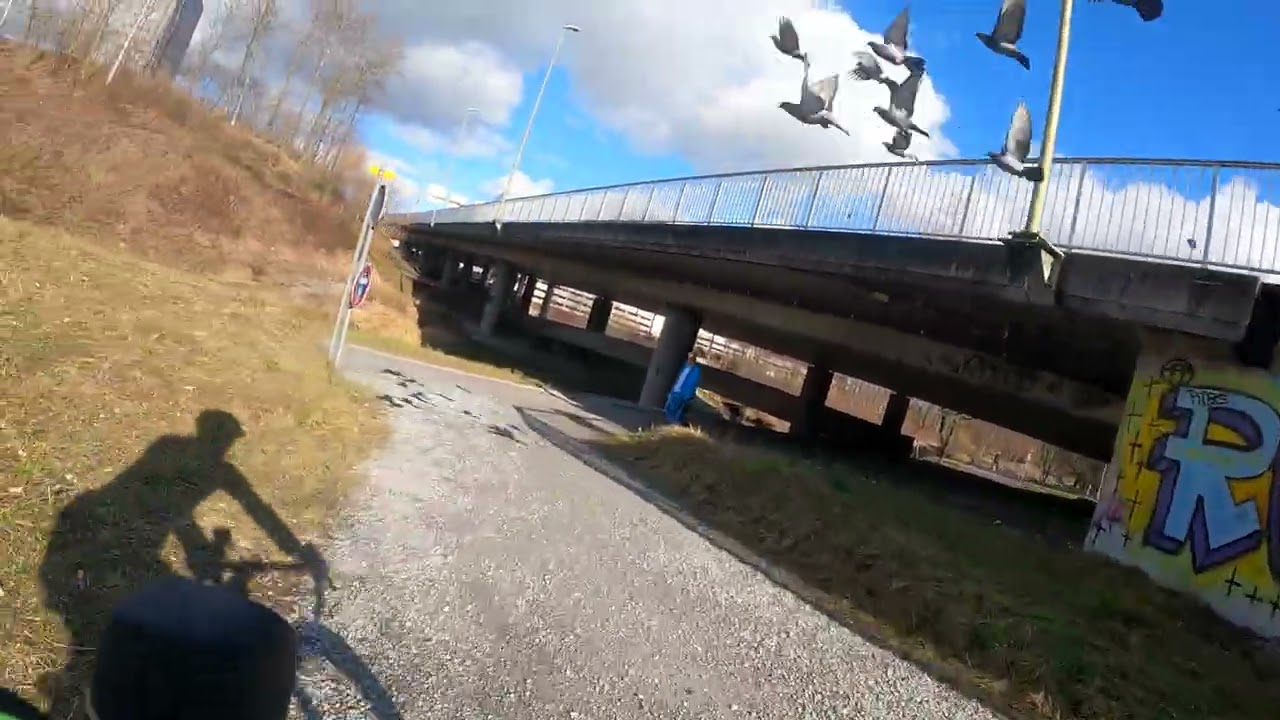 Bike ride from Wallisellen