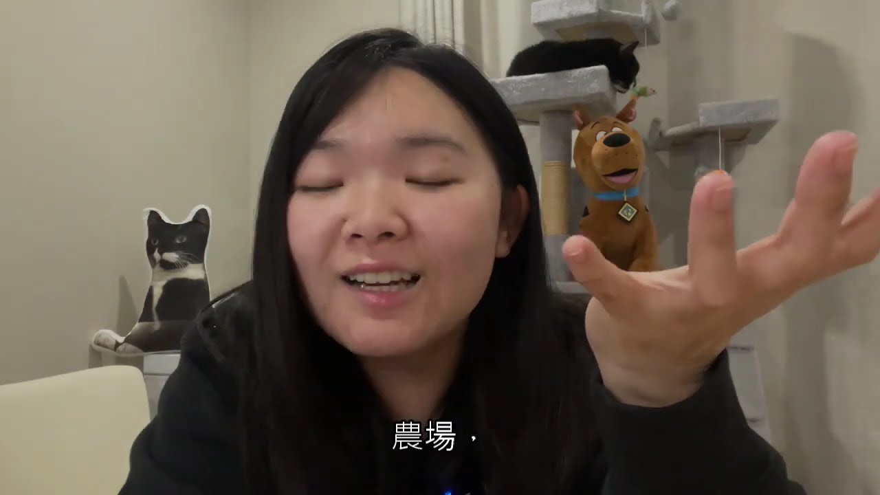 |EP2|Aurora的澳洲日常 不私藏，澳洲找工作/履歷/考叉車/棉花廠/仲介面試 The way to find the job in Australia |Pretty Aurora in OZ